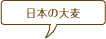 日本の大麦
